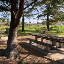 Corte Madera Town Park - Corte Madera