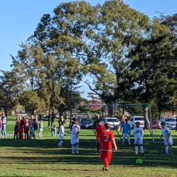 Corte Madera Town Park - Corte Madera