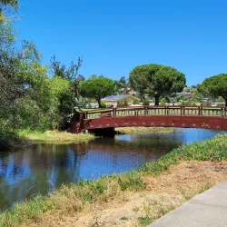 Corte Madera Town Park - Corte Madera