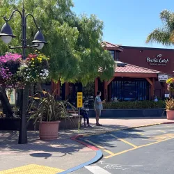 Corte Madera Town Park - Corte Madera