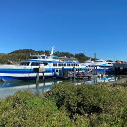 Larkspur Ferry Terminal - Corte Madera