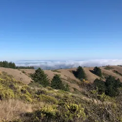 Mount Tamalpais State Park - Corte Madera