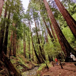 Mount Tamalpais State Park - Corte Madera