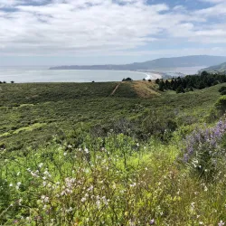 Mount Tamalpais State Park - Corte Madera