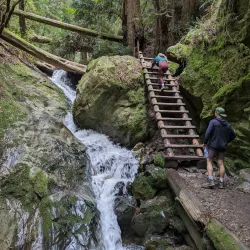 Mount Tamalpais State Park - Corte Madera
