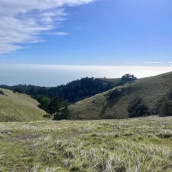 Mount Tamalpais State Park - Corte Madera