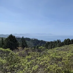 Mount Tamalpais State Park - Corte Madera