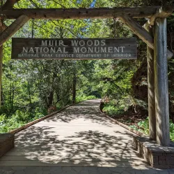 Muir Woods National Monument - Corte Madera