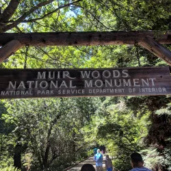 Muir Woods National Monument - Corte Madera