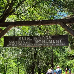 Muir Woods National Monument - Corte Madera