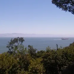 Paradise Drive - Corte Madera