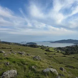Ring Mountain Open Space Preserve - Corte Madera