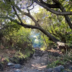 Ring Mountain Open Space Preserve - Corte Madera
