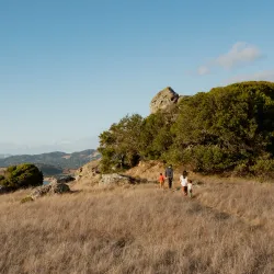 Ring Mountain Open Space Preserve - Corte Madera