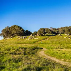 Ring Mountain Open Space Preserve - Corte Madera