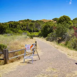 Ring Mountain Open Space Preserve - Corte Madera