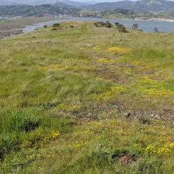 Ring Mountain Open Space Preserve - Corte Madera