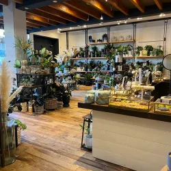 The Village at Corte Madera - Corte Madera