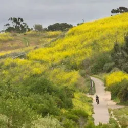 Fairview Park - Costa Mesa