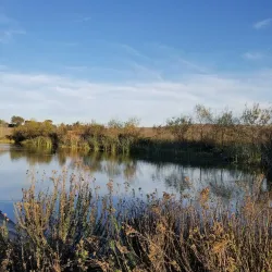 Fairview Park - Costa Mesa