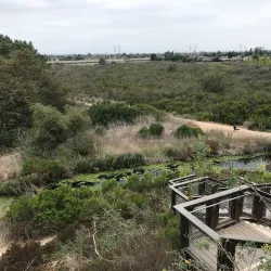 Fairview Park - Costa Mesa