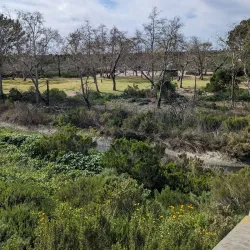 Fairview Park - Costa Mesa