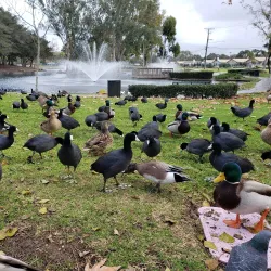 TeWinkle Park - Costa Mesa