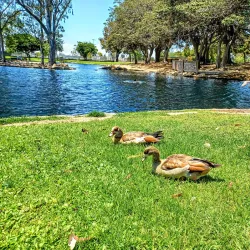TeWinkle Park - Costa Mesa