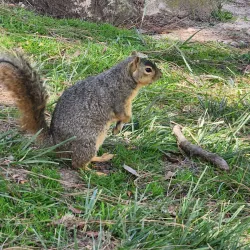 TeWinkle Park - Costa Mesa