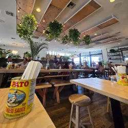 The CAMP - Costa Mesa