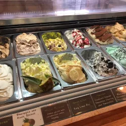 The CAMP - Costa Mesa