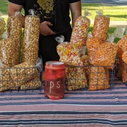 Cotati Farmers Market - Cotati