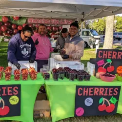 Cotati Farmers Market - Cotati