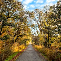 Joe Rodota Trail - Cotati