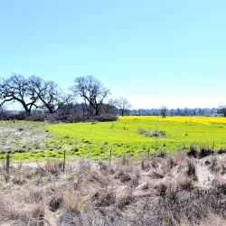Joe Rodota Trail - Cotati