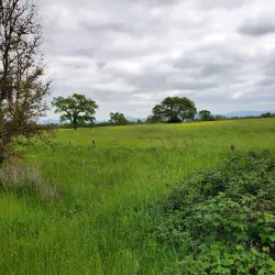 Joe Rodota Trail - Cotati