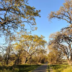 Joe Rodota Trail - Cotati