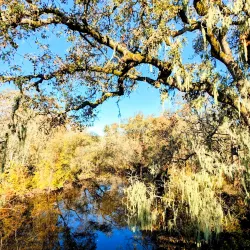 Joe Rodota Trail - Cotati