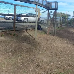 Sonoma County Wildlife Rescue - Cotati