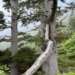 Crescent Beach - Crescent City