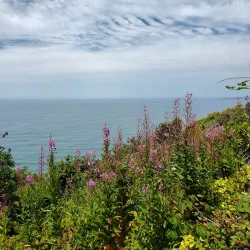 Crescent Beach - Crescent City