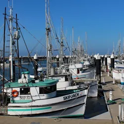 Crescent City Harbor - Crescent City
