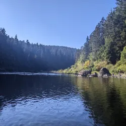 Jedediah Smith Redwoods State Park - Crescent City