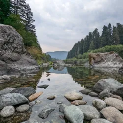 Jedediah Smith Redwoods State Park - Crescent City
