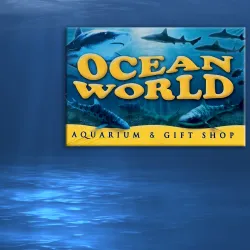 Ocean World - Crescent City