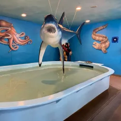 Ocean World - Crescent City