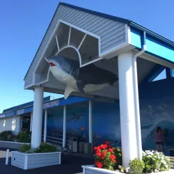 Ocean World - Crescent City