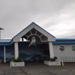 Ocean World - Crescent City