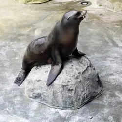 Ocean World - Crescent City