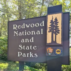 Redwood National and State Parks - Crescent City